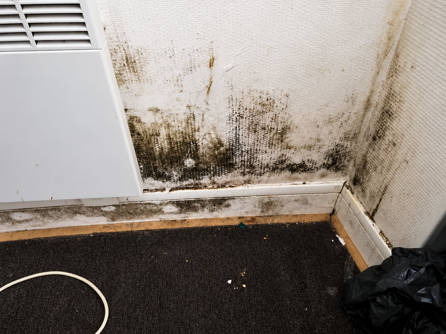 Angle de pièce dont le mur blanc est couvert de moisissures noires près d'un radiateur électrique, avec une moquette sombre et un câble blanc au sol.