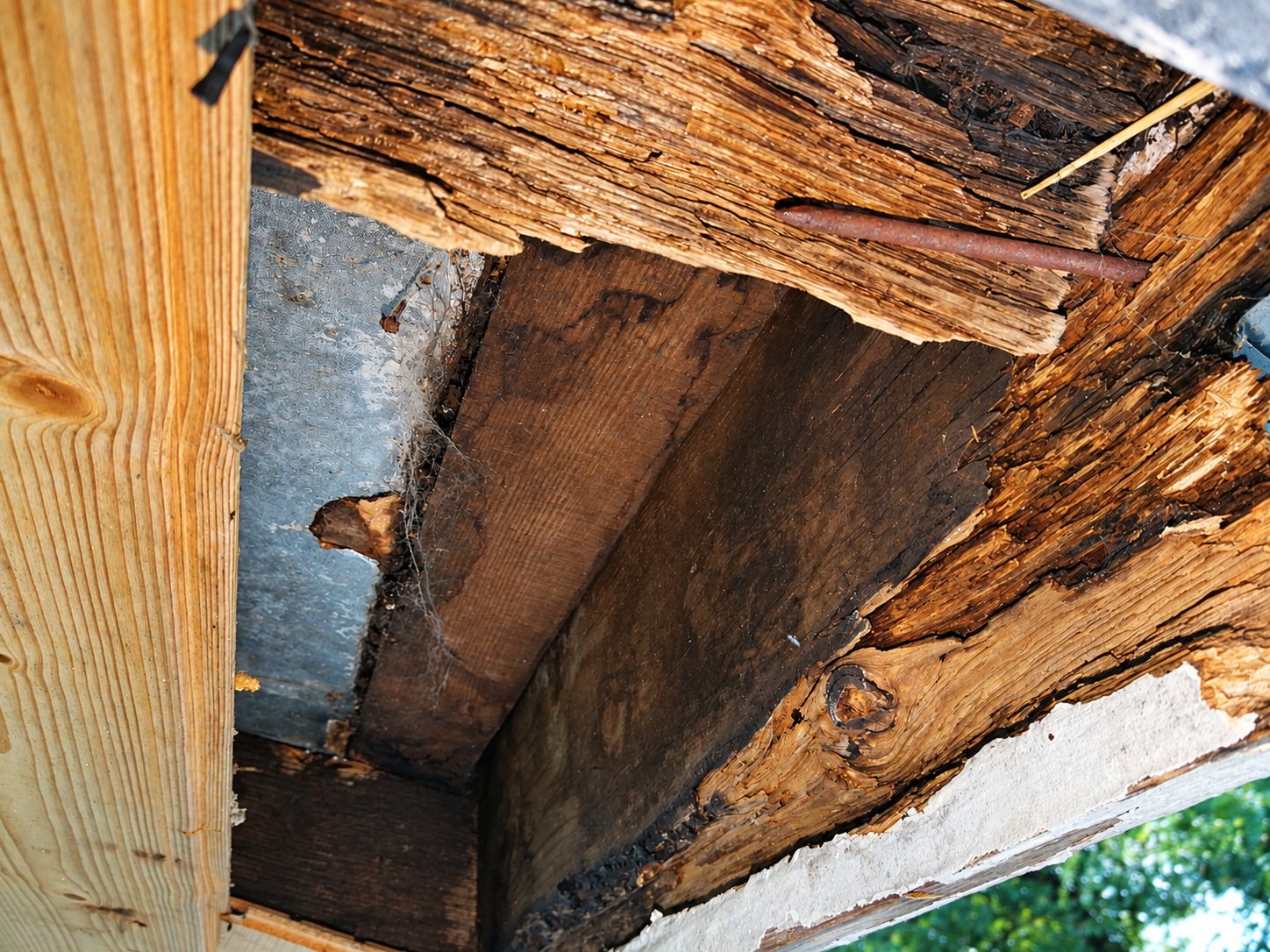 Vue rapprochée de poutres en bois anciennes et dégradées sous une toiture, avec un clou rouillé et une pièce de zinc.